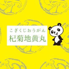杞菊地黄丸・双料杞菊地黄丸（C)イスクラの漢方薬なら薬戸金堂・源保堂鍼灸院へ